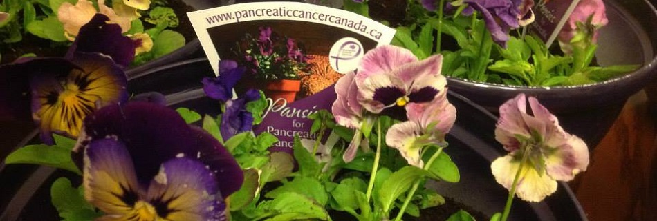 pansy banner
