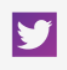 purple twitter icon